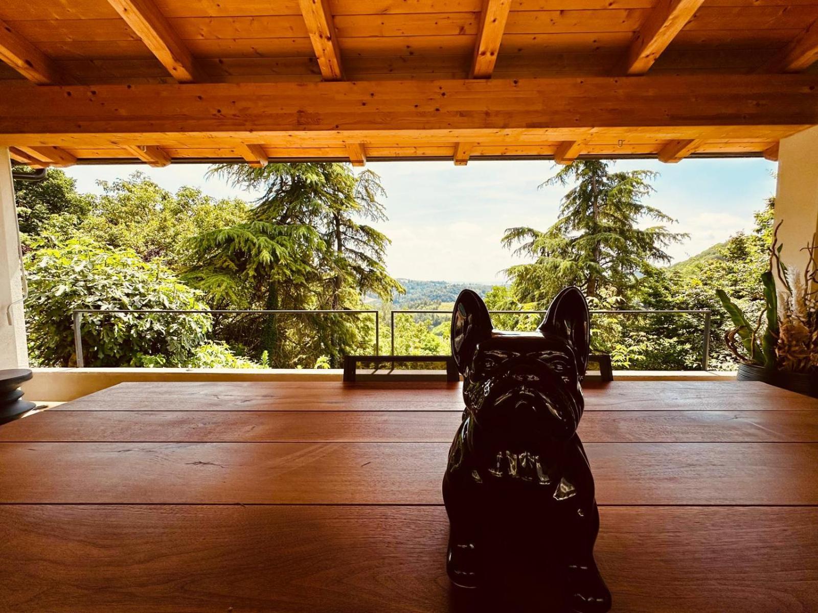 Apartmán Dimora Roe Monticello d'Alba Exteriér fotografie